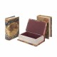 SET 3 CAJAS LIBRO MAPA MUNDO DM FORRADO POLY 17X11X5 CM.