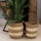 SET 2 CESTAS CON ASAS SEAGRASS ALGA MARINA 40X40X44 CM.