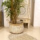 CESTA CENEFAS CON ASAS ALGAS Y PAPEL 40X40X30 CM.