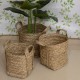 SET 3 CESTAS CON ASAS SEAGRASS ALGA MARINA 40X40X38 CM.