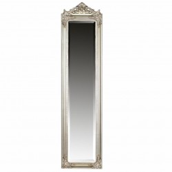 ESPEJO DE PIE RESINA 43X3.5X176 CM.