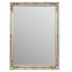 ESPEJO DE PARED RECTANGULAR RESINA 83.5X5X113.5 CM.