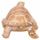 FIGURA TORTUGA RESINA DORADO 26X18X12.50 CM.