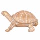 FIGURA TORTUGA RESINA DORADO 26X18X12.50 CM.