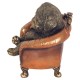FIGURA PERRO BULLDOG DURMIENTO EN SOFÁ RESINA 13X12.5X14 CM.