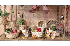 Pon una gallina en tu cocina